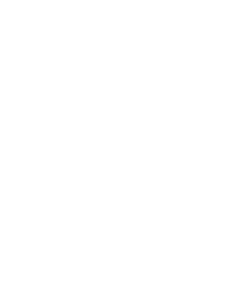 Icona ISO 9001